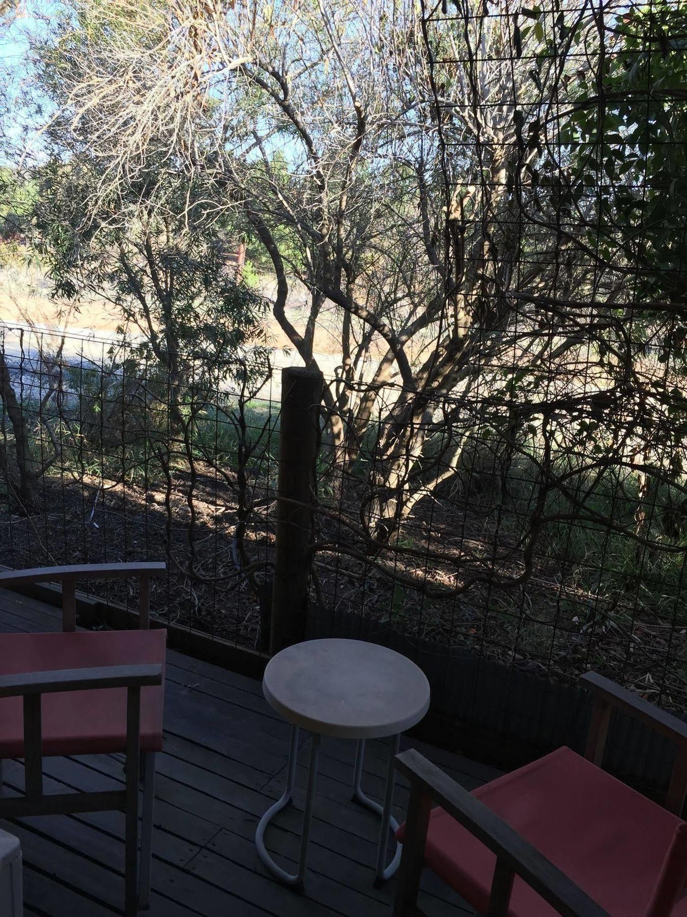 The Albion Motel Castlemaine Extérieur photo
